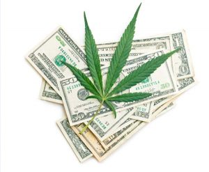 cannabis-investissement-argent