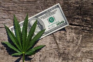 risque-volatilite-rendement-investissement-cannabis